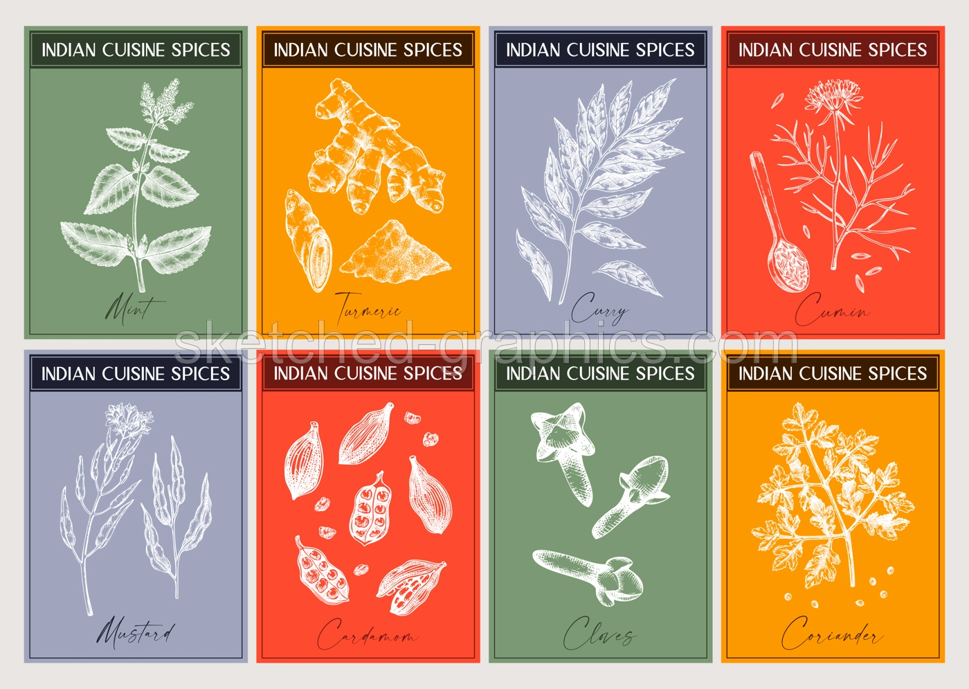 Indian spice labels set. Curry, cumin, mustard, turmeric, coriander, cloves sketches. Herbs and spices hand-drawn vectot illustration. Modern print design. NOT AI generated Illustration
